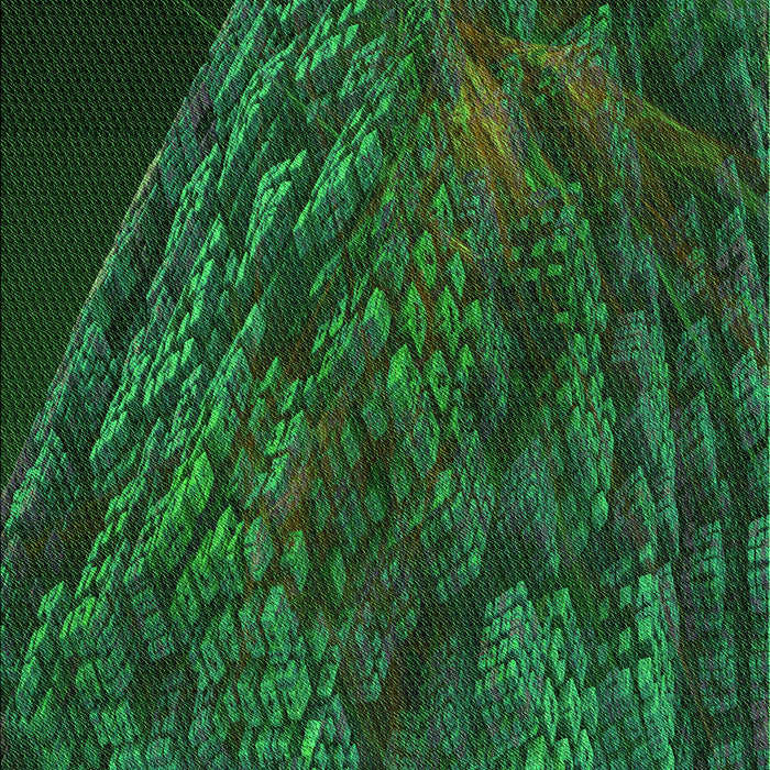 Patterned Dark Forest Green Rug, pat1362grn