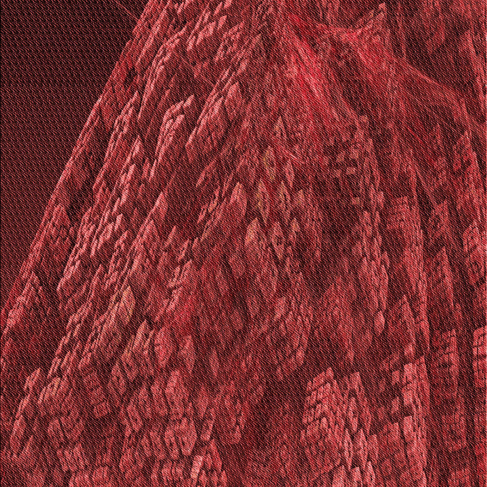 Machine Washable Transitional Red Rug, wshpat1362rd