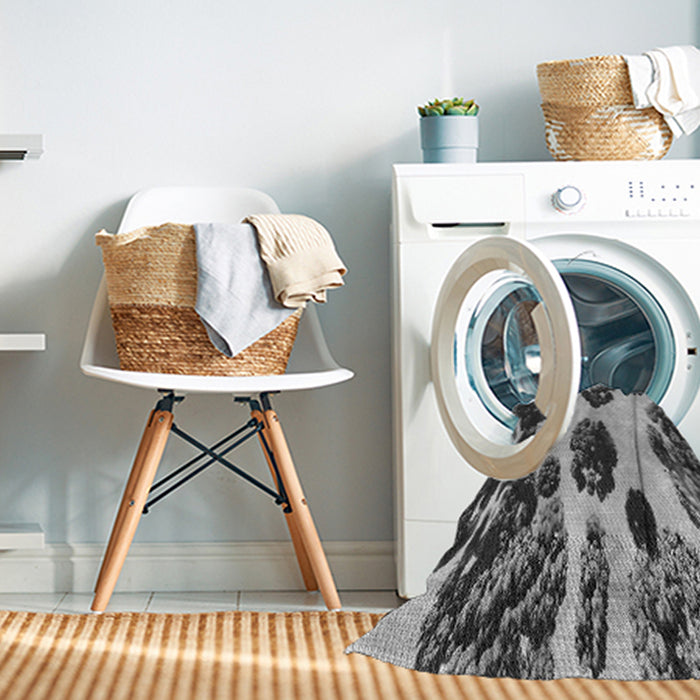 Machine Washable Transitional Silver Gray Rug in a Washing Machine, wshpat1363gry