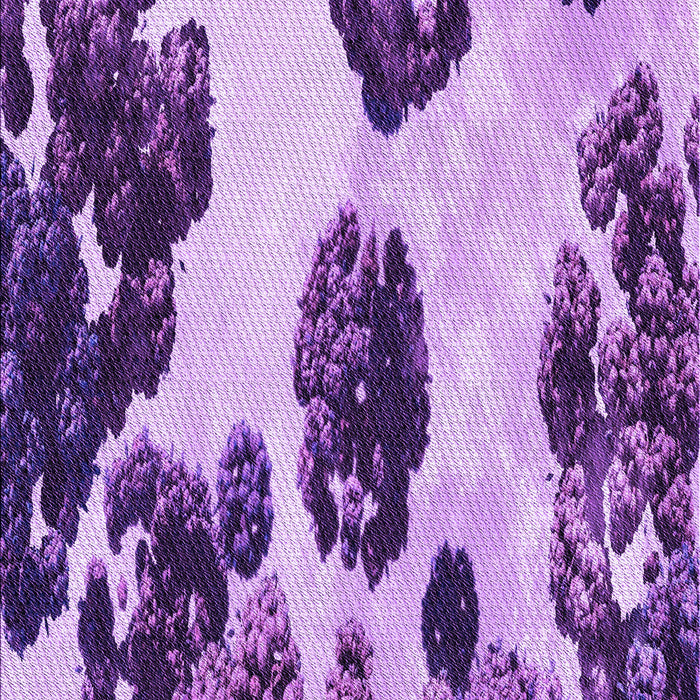 Machine Washable Transitional Violet Purple Rug, wshpat1363pur