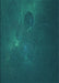 Patterned Dark Cyan Green Rug, pat1364lblu