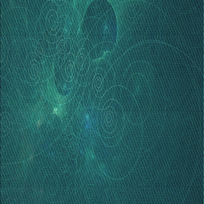 Patterned Dark Cyan Green Rug, pat1364lblu