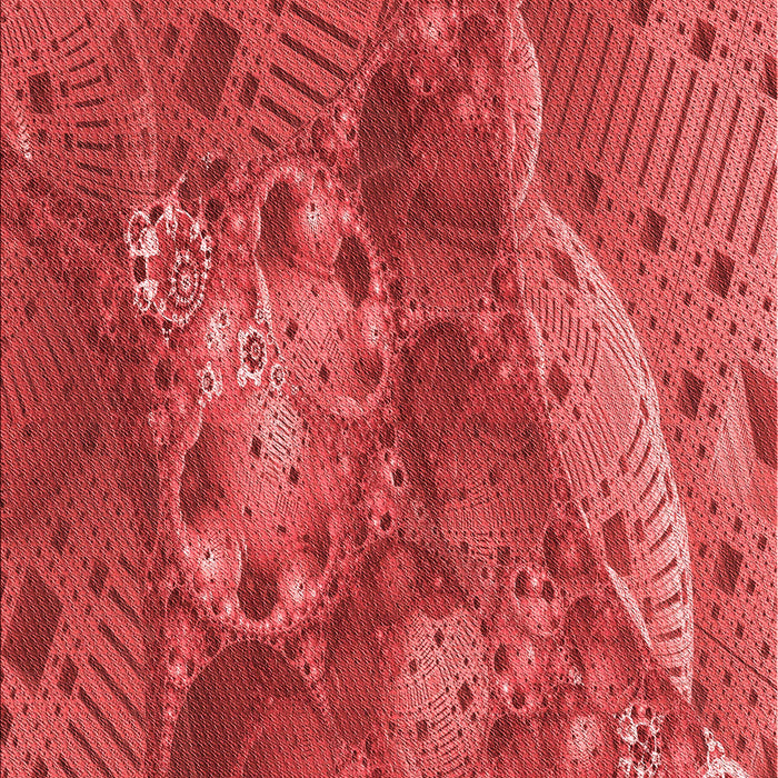 Patterned Red Rug, pat1366rd