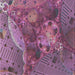 Sideview of Machine Washable Transitional Dark Raspberry Purple Rug, wshpat1366