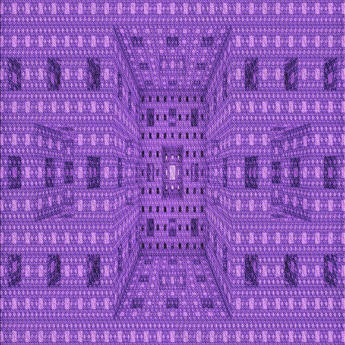 Machine Washable Transitional Purple Rug, wshpat1368pur