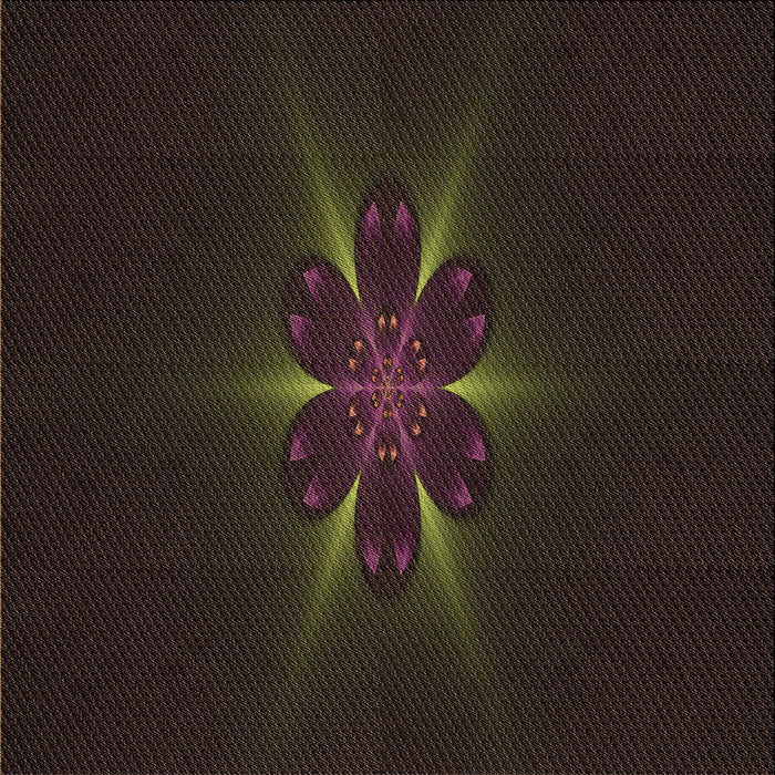 Round Machine Washable Transitional Dark Brown Rug, wshpat1372brn