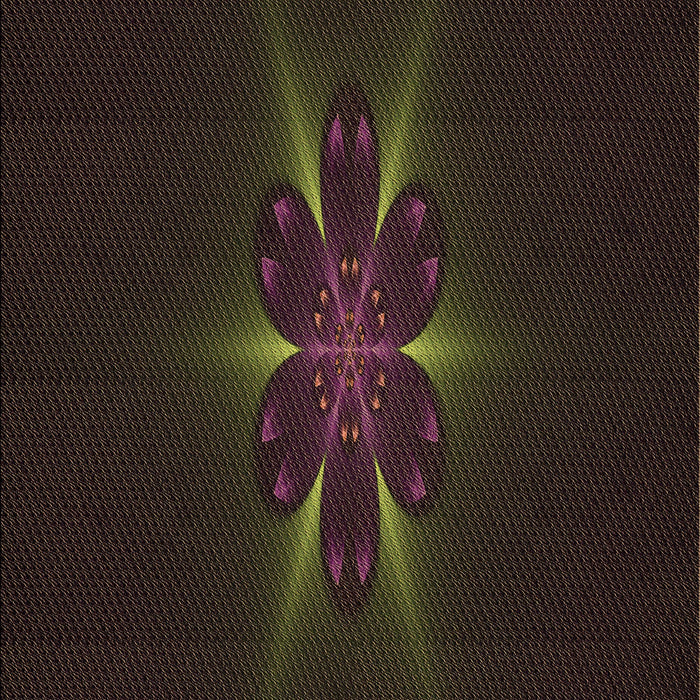 Machine Washable Transitional Dark Brown Rug, wshpat1372brn