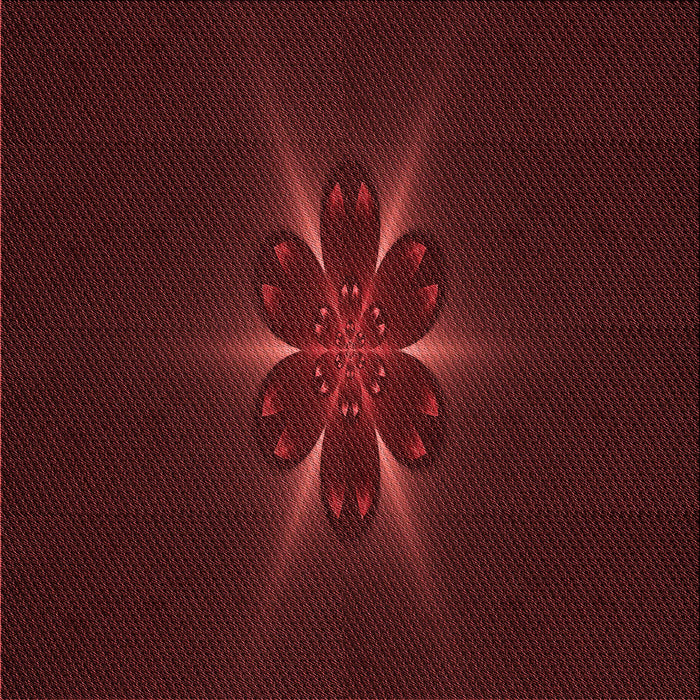 Round Machine Washable Transitional Tomato Red Rug, wshpat1372rd