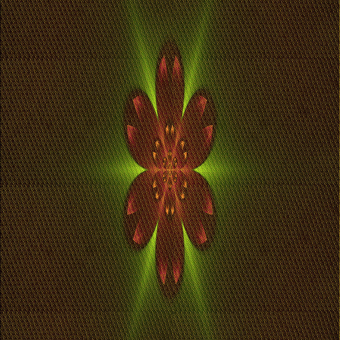 Machine Washable Transitional Black Brown Rug, wshpat1372yw