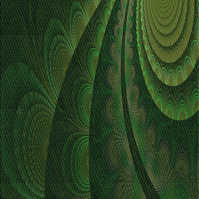 Machine Washable Transitional Black Rug, wshpat1375grn