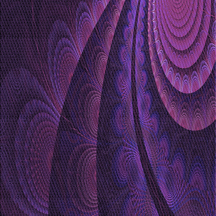 Machine Washable Transitional Dark Purple Rug, wshpat1375pur