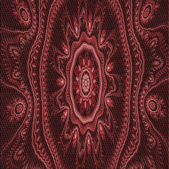 Machine Washable Transitional Fire Brick Red Rug, wshpat1379rd