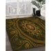 Patterned Dark Bronze Brown Rug in Family Room, pat1379yw