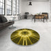 Round Patterned Brown Rug in a Office, pat138yw