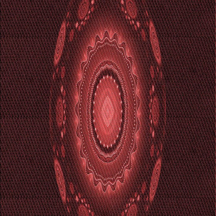 Machine Washable Transitional Saffron Red Rug, wshpat1382rd