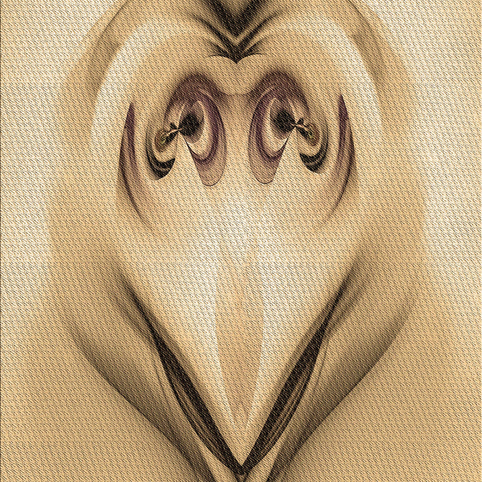 Machine Washable Transitional Cinnamon Brown Rug, wshpat1386brn