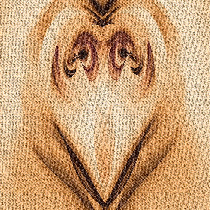 Machine Washable Transitional Orange Rug, wshpat1386org