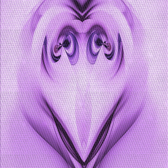 Machine Washable Transitional Purple Rug, wshpat1386pur
