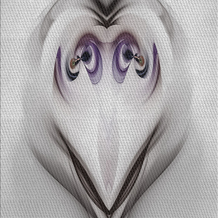 Machine Washable Transitional Gainsboro Gray Rug, wshpat1386