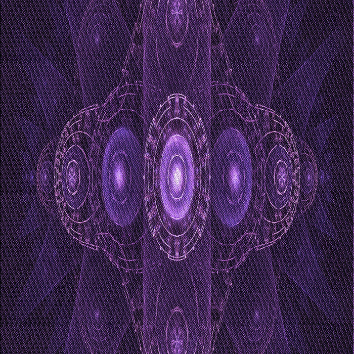 Patterned Deep Purple Rug, pat1387pur