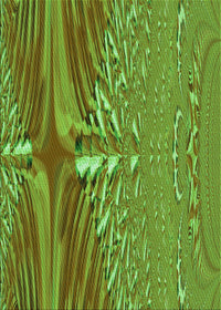 Machine Washable Transitional Green Rug, wshpat139grn