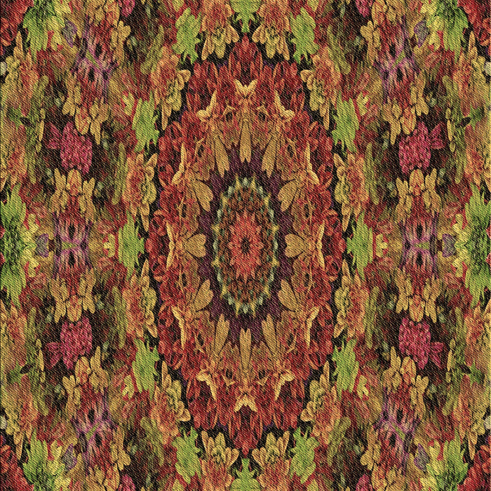 Machine Washable Transitional Saffron Red Rug, wshpat1390brn