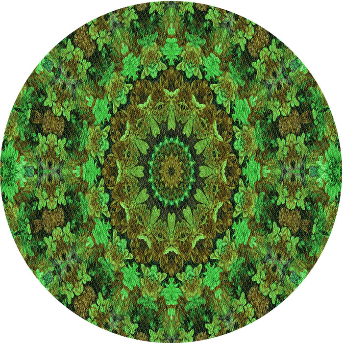 Square Machine Washable Transitional Dark Forest Green Rug in a Living Room, wshpat1390grn