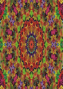 Machine Washable Transitional Saffron Red Rug, wshpat1390