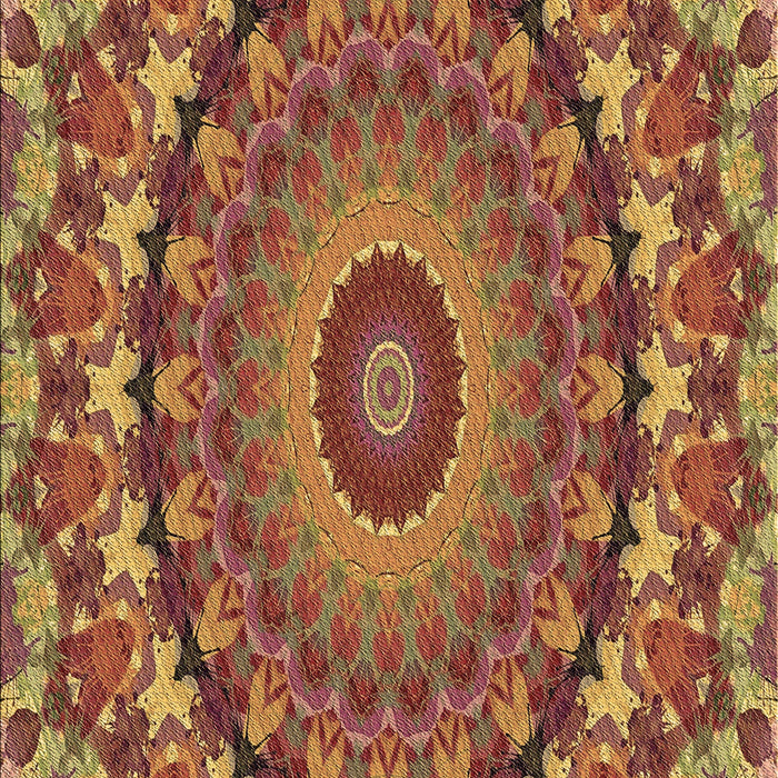 Machine Washable Transitional Caramel Brown Rug, wshpat1391brn