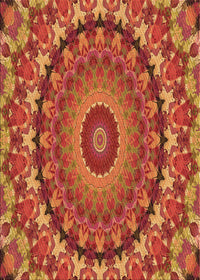 Machine Washable Transitional Red Rug, wshpat1391org