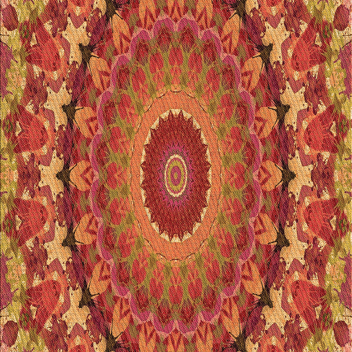 Machine Washable Transitional Red Rug, wshpat1391org