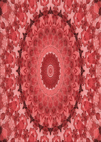 Machine Washable Transitional Red Rug, wshpat1391rd