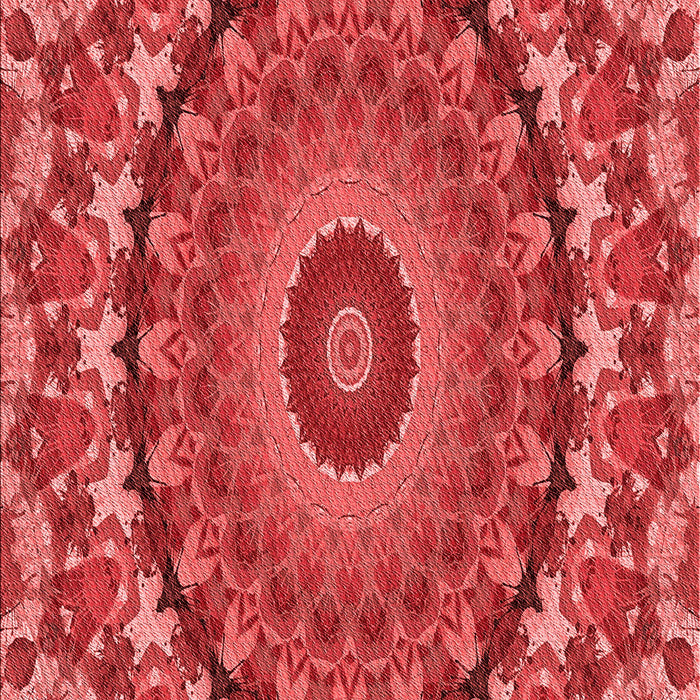 Machine Washable Transitional Red Rug, wshpat1391rd