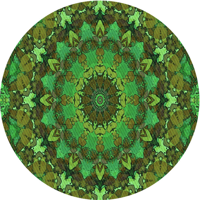 Square Machine Washable Transitional Dark Forest Green Rug in a Living Room, wshpat1392grn