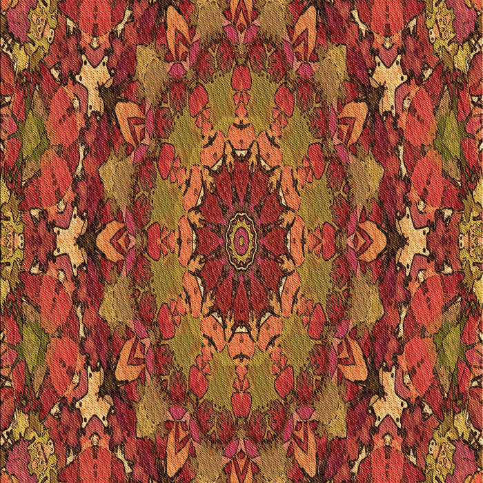 Machine Washable Transitional Tomato Red Rug, wshpat1392org