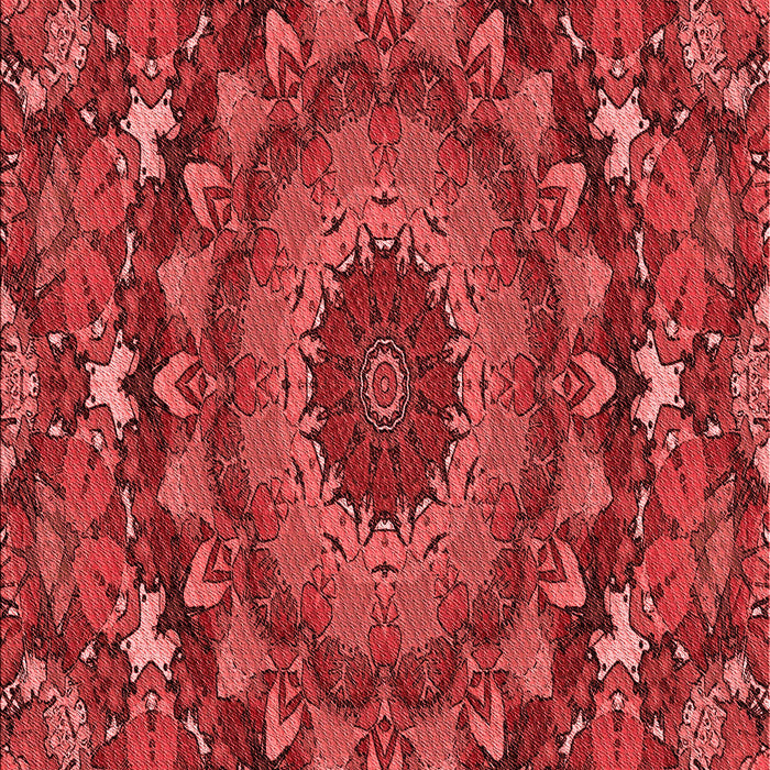 Machine Washable Transitional Red Rug, wshpat1392rd