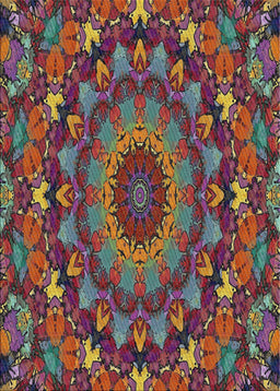 Machine Washable Transitional Brown Rug, wshpat1392