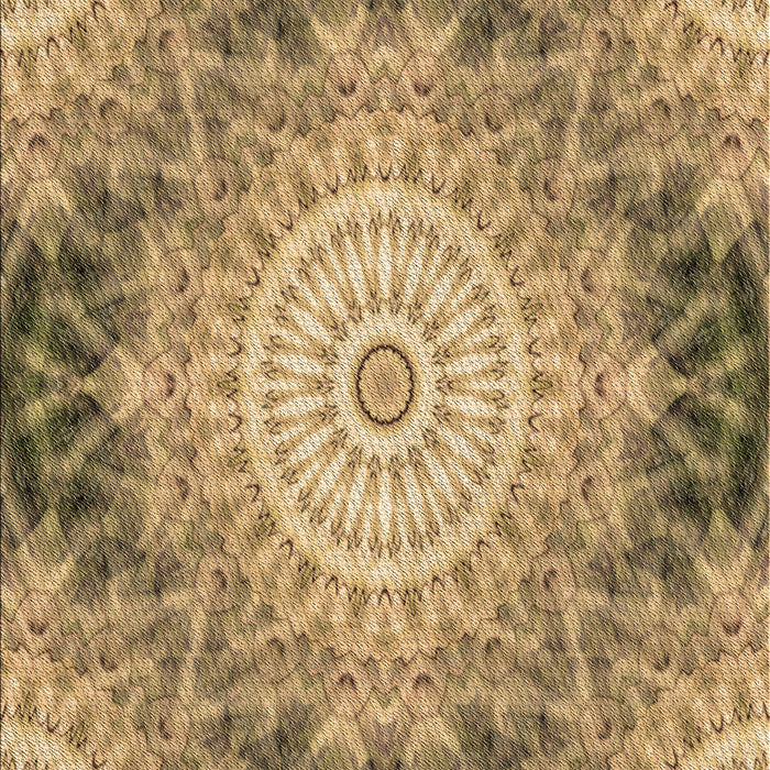 Patterned Yellow Orange Rug, pat1393brn