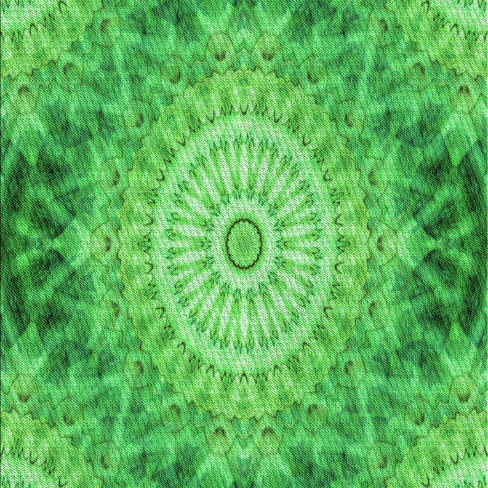 Machine Washable Transitional Neon Green Rug, wshpat1393grn