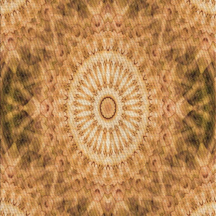 Patterned Orange Rug, pat1393org