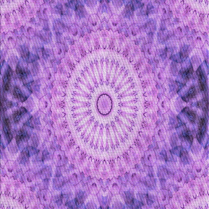 Machine Washable Transitional Violet Purple Rug, wshpat1393pur