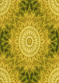 Machine Washable Transitional Dark Yellow Green Rug, wshpat1393yw