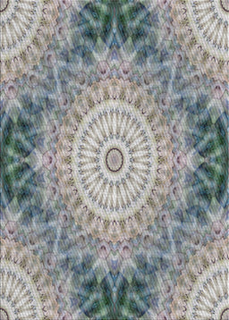 Patterned Silver Gray Novelty Rug, pat1393