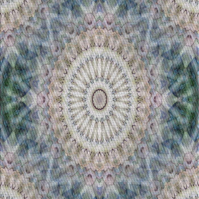 Patterned Silver Gray Novelty Rug, pat1393