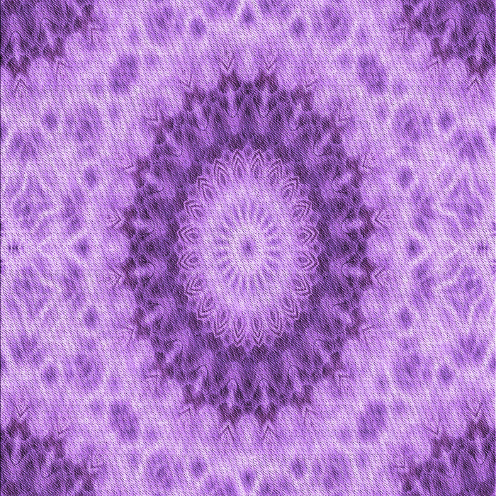 Machine Washable Transitional Violet Purple Rug, wshpat1394pur