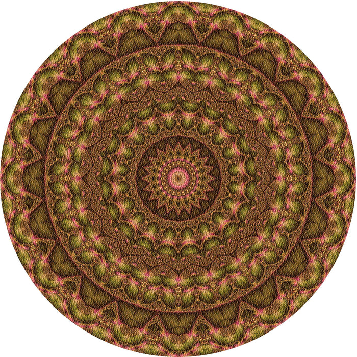 Square Machine Washable Transitional Sedona Brown Rug in a Living Room, wshpat1396org