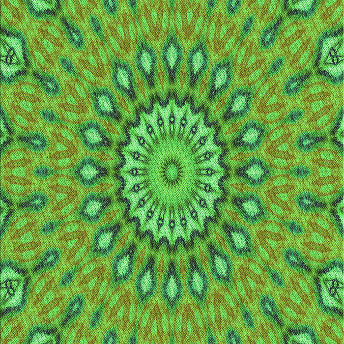 Machine Washable Transitional Green Rug, wshpat1397grn