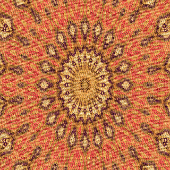 Machine Washable Transitional Red Rug, wshpat1397org