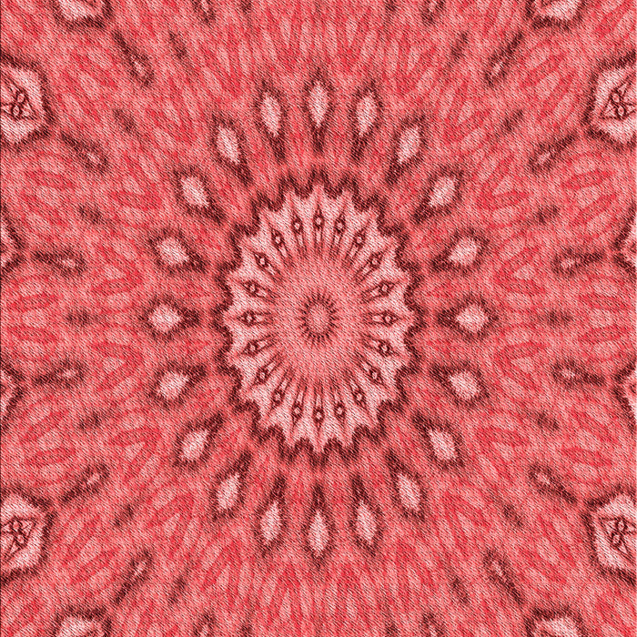 Machine Washable Transitional Red Rug, wshpat1397rd