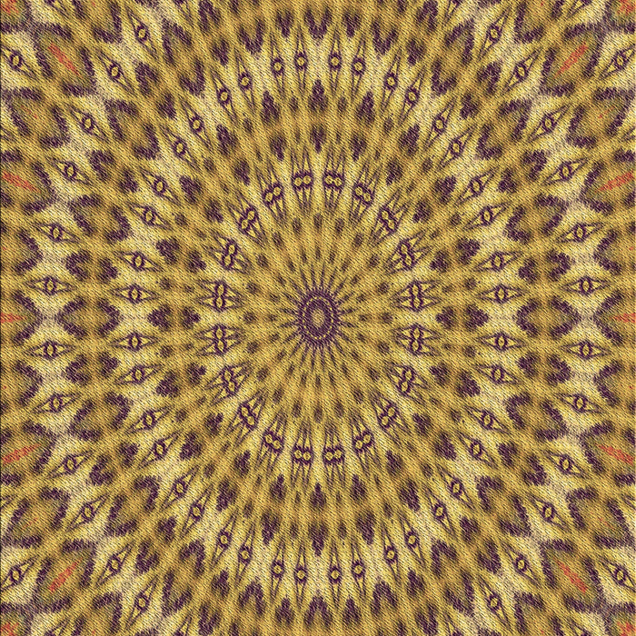 Patterned Yellow Rug, pat1398brn